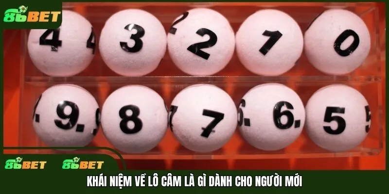Khái niệm về lô câm là gì dành cho người mới